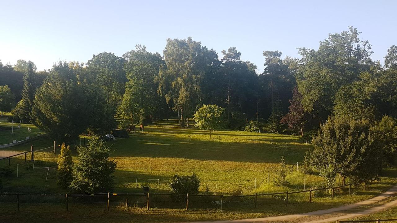 Dat Luette Heidehotel Funk - Garni Bispingen Esterno foto