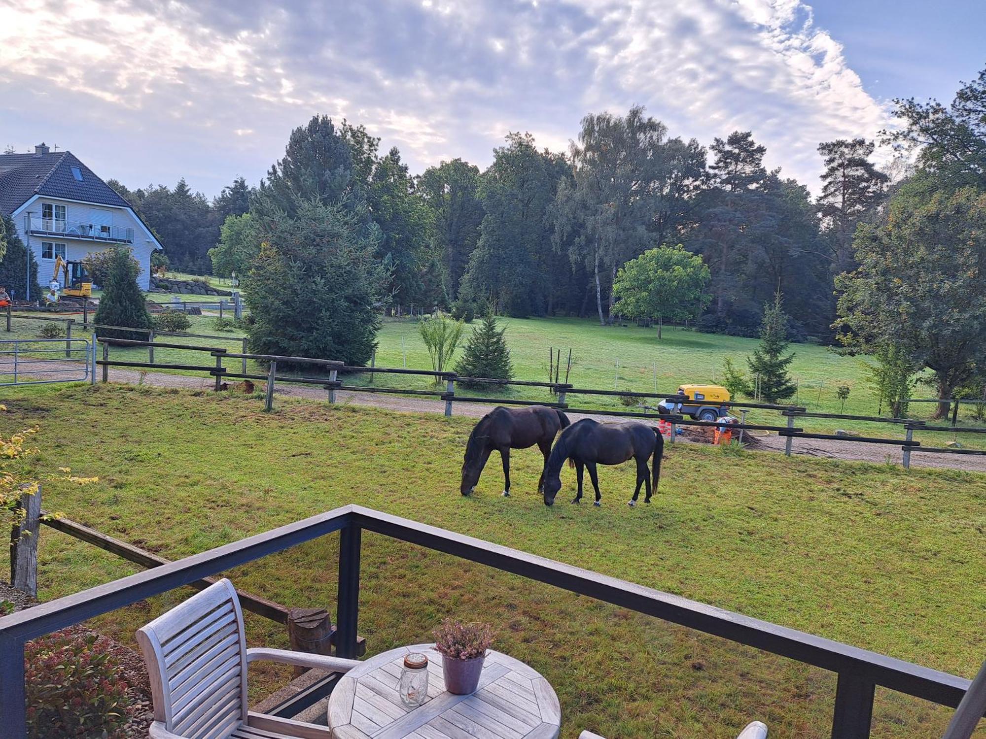 Dat Luette Heidehotel Funk - Garni Bispingen Esterno foto